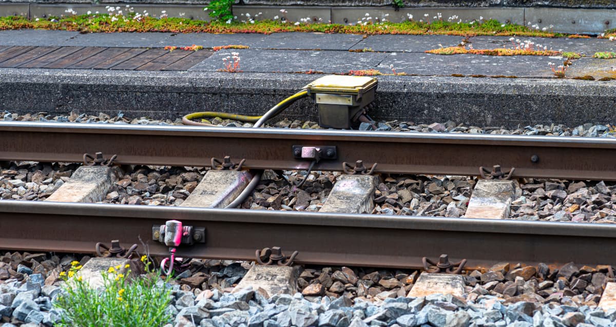 Trackside axle counter wheel sensor clamped to the inside web of a running rail at dusk, twin inductive sensor heads against the rail foot with a trackside cable running back to a grey signalling location case housing the evaluation unit.